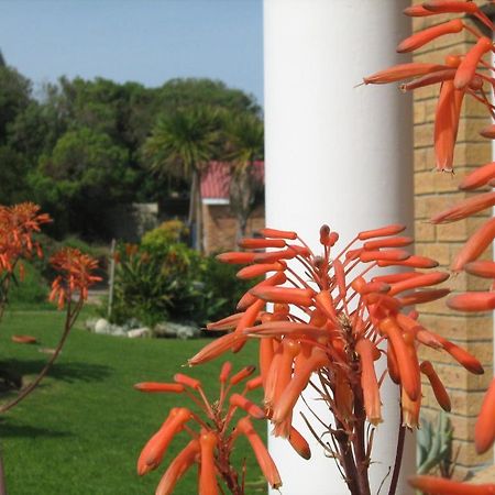Nell'S B&B Kleinbaai Экстерьер фото