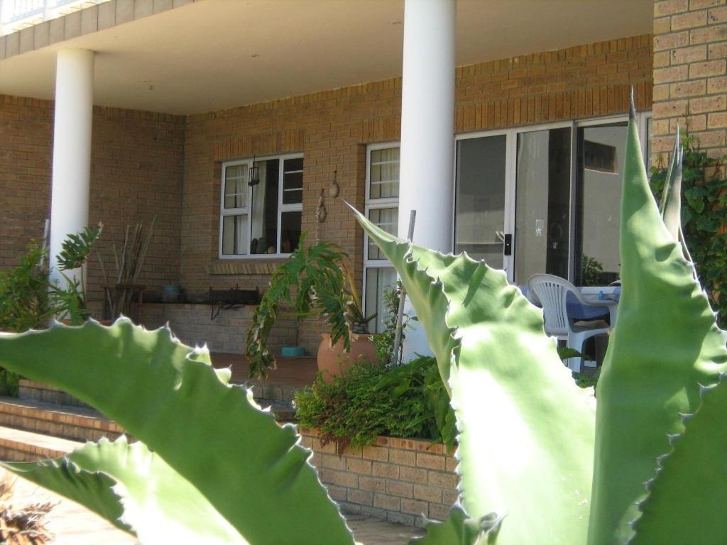 Nell'S B&B Kleinbaai Экстерьер фото